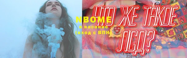 бошки Алексин