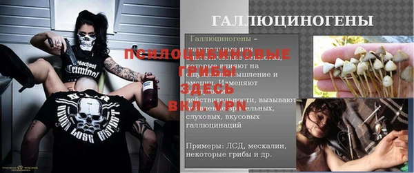 бошки Алексин